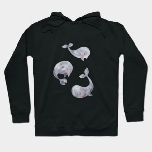 Gray baby whales Hoodie